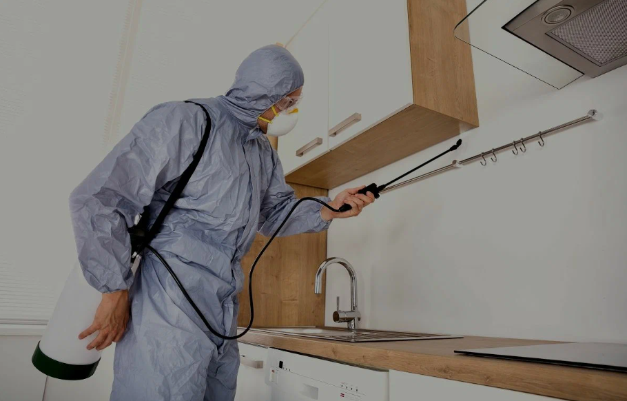 Wasco pest managment